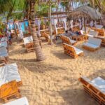 Enjoy In cartagena Playa Blanca + Plankton - A Detailed Look at the Tour Experience