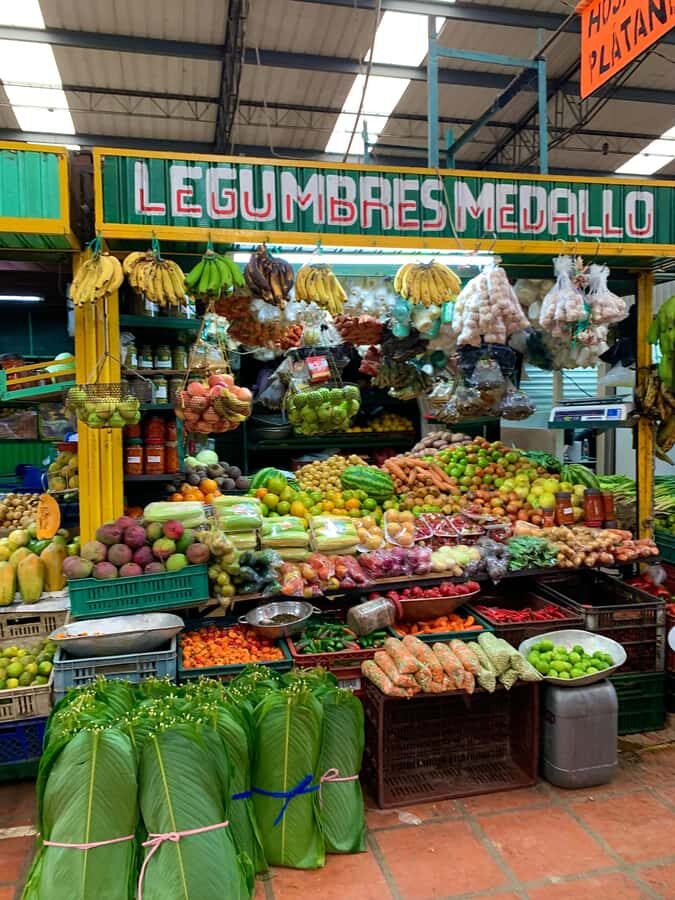 Essential Fruit Experience - An In-Depth Look at the Essential Fruit Experience