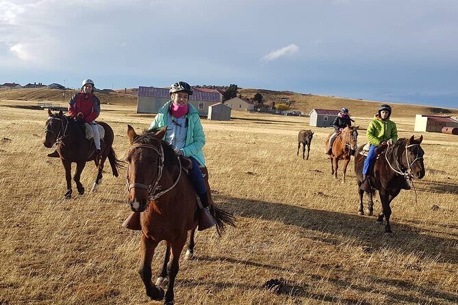 Estancia ,de la comuna de Laguna Blanca - Authentic Experiences That Stick With You