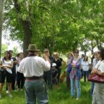 Estancia Gaucho Day at Buenos Aires - A Deep Dive into the Gaucho Experience