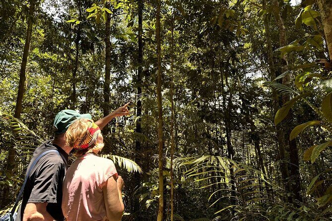 Exclusive 3-Day All-Inclusive Amazon Adventure in Napo Province - Practical Details and What to Expect