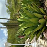 Exclusive 4 -Hour Private nature Tour: West Curacao's Best - Frequently Asked Questions