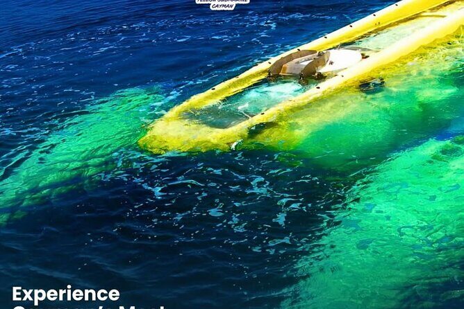 Exclusive Cayman Underwater Adventure: Yellow Submarine Cayman - Who Will Love This Tour?