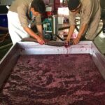 Exclusive day-long private tour of Cafayate vineyards - FAQs