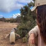 Exclusive Full Day Tour Penguin Colony in Punta Tombo from Madryn - Practical Details and Insights
