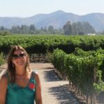 Exclusive Half Day Tour of Winerie Concha y Toro from Santiago - Final Thoughts: Who Should Book This Tour?
