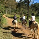 Exclusive Horse Experience with Pic-nic at Belvedere - Analyzing the Value