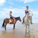 Exclusive Horseback Riding Adventure Countryside & Beach - Who Will Love This Experience?