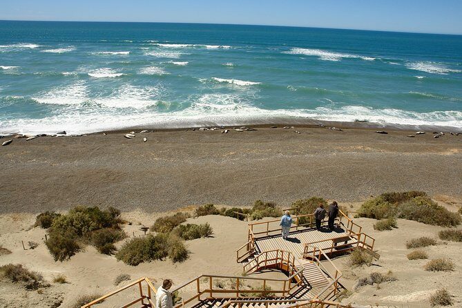 Exclusive Peninsula Valdes Nature & Wildlife for Cruise Guests - FAQs