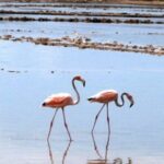 Exclusive Private Land Tour of Grand Turk - Details That Matter for Your Decision