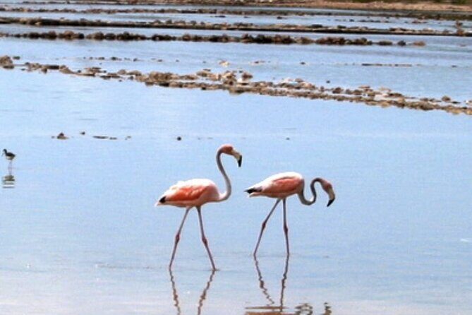 Exclusive Private Land Tour of Grand Turk - Details That Matter for Your Decision