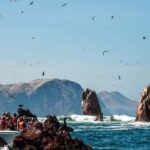 Excursion: Ballestas Islands and Paracas National Reserve - What’s Included and What’s Not