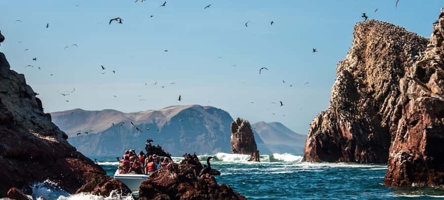 Excursion: Ballestas Islands and Paracas National Reserve - What’s Included and What’s Not