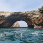 Excursion: Ballestas Islands and Paracas National Reserve - A Deep Dive into the Experience