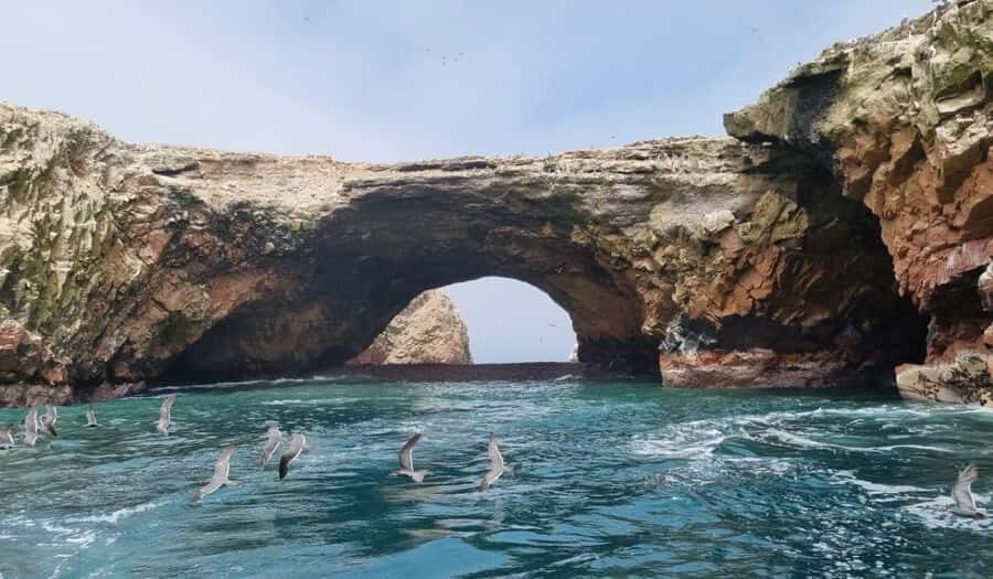 Excursion: Ballestas Islands and Paracas National Reserve - A Deep Dive into the Experience