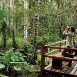 Excursion in the Madre de Dios-Inkaterra Amazon Reserve - Who Should Consider This Tour?