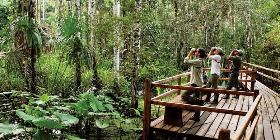 Excursion in the Madre de Dios-Inkaterra Amazon Reserve - Who Should Consider This Tour?