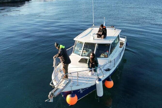 Excursion through the Beagle Channel on a Tango Yacht - An In-Depth Look at the Tango Yacht Experience