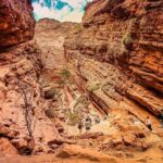 Excursion to Cafayate & Wine Country from Salta - Authentic Traveler Insights