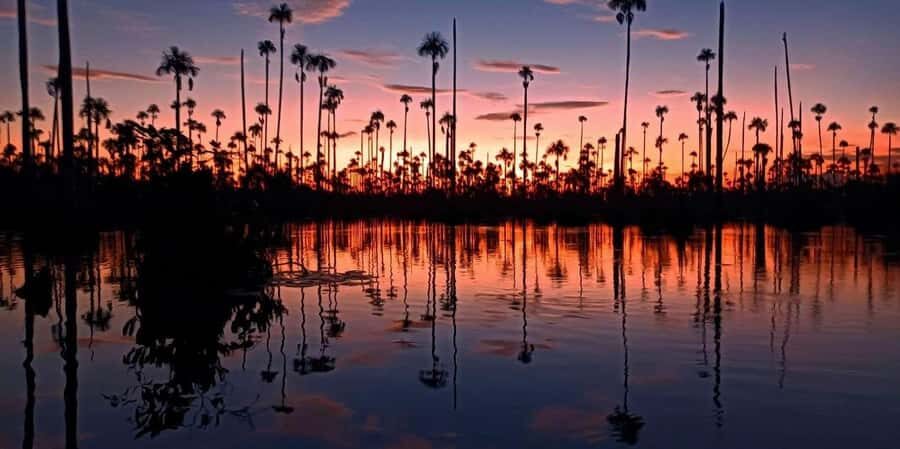 Excursion to Lake Yacumama + Sunset | Sport fishing - The Sum Up