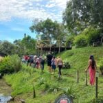 Excursion to Monkey Island - Who Would Love This Tour?