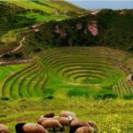 Excursion to Moray & Salt Mines with visit centre textil |Private - A Detailed Look at the Moray & Maras Salt Mines Tour