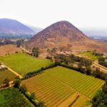 Excursion to Pachacamac - Key Points