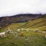 Excursion to Rainbow Mountain in ATV. - Who Should Consider This Tour?