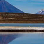 Excursion to Salinas Lagoon and National Reserve in Arequipa - Practical Considerations