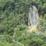 Excursion to Samana El Limón Waterfall and Bacardi Island - What the Reviews Say