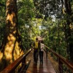 Excursion to Sandoval Lake 4D/3N + birdwatching - What Travelers Say