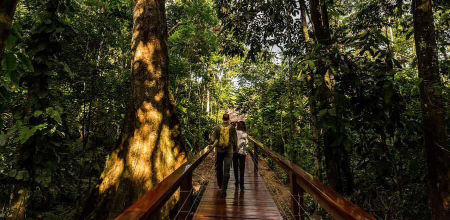 Excursion to Sandoval Lake 4D/3N + birdwatching - What Travelers Say