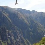 Excursion to the Colca Canyon ending in Puno - The Highlights: Why We Like This Tour