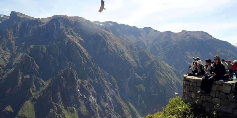 Excursion to the Colca Canyon ending in Puno - The Highlights: Why We Like This Tour