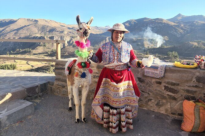 Excursion to the Colca Canyon in one day - Authentic Experiences and Practical Details