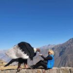 Excursion to the Colca Canyon with Breakfast and Lunch - Transportation and Group Dynamics