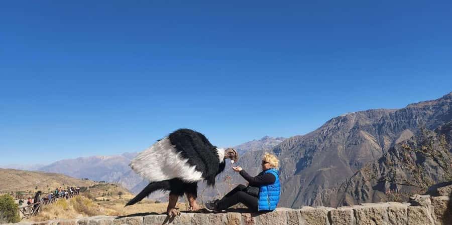 Excursion to the Colca Canyon with Breakfast and Lunch - Transportation and Group Dynamics