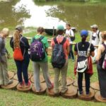 Excursion to the Pacaya Samiria National Reserve Jungle. - Final Thoughts: Is This Your Amazon Adventure?