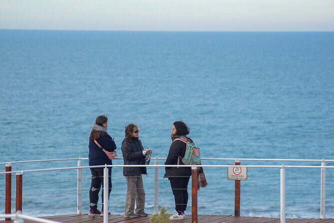 Excursion to the Valdés Peninsula from Puerto Madryn - Who Should Book This Tour?