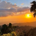 Exotic Blue Mountain Coffee Tour - Who Will Love This Tour?