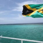 Exotic Catamaran Party Cruise and Snorkeling to Dunns River Falls - The Sum Up