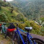 Exotic Full-Day Blue Mountain Bicycle Adventure - Final Summary: Who Should Consider This Tour?