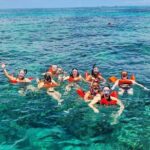 Exotic half day private charters to Rose Island, Pigs and Turtles - Practical Details and Tips