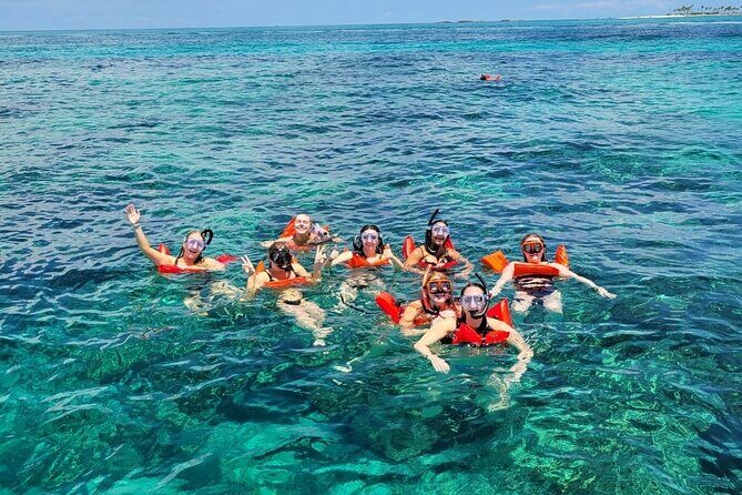 Exotic half day private charters to Rose Island, Pigs and Turtles - Practical Details and Tips