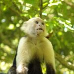 Exotic Landscapes of Costa Rica - Who Is This Tour Perfect For?