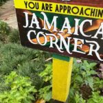 Exotic Ocho Rios Historical Sightseeing Tour - Final Thoughts