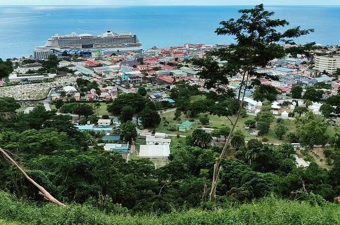 Experience City with Bus Hop on Hop Off Tours