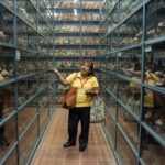 Experience Lima: Gastronomic Evening at Larco Museum with Private Guided Tour - Frequently Asked Questions