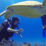 Experience Scuba Diving / NO certification Needed - Who Should Consider This Tour?