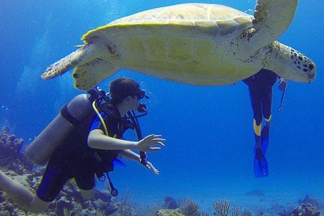 Experience Scuba Diving / NO certification Needed - Who Should Consider This Tour?